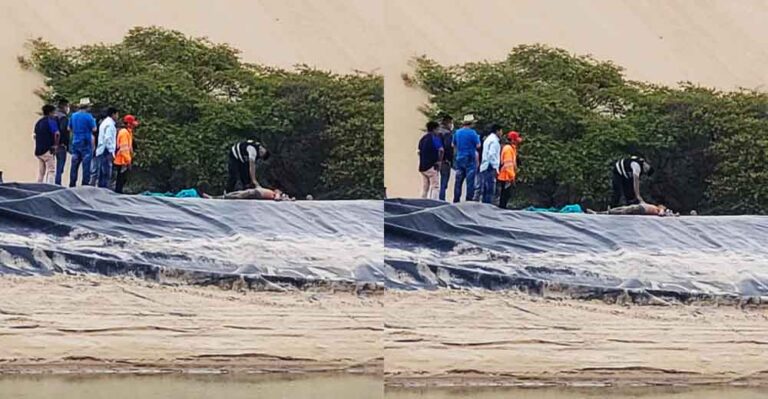 Ica: Hallan sin vida a joven de 25 años dentro de una poza de geomembrana en Pisco - Ica
