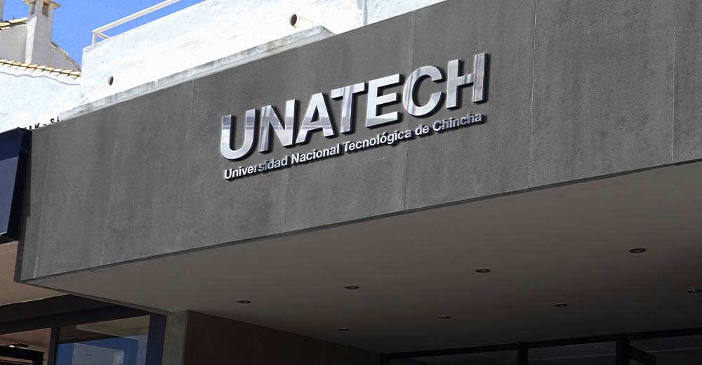 Aprueban declarar necesidad pública crear la Universidad Nacional Tecnológica de Chincha (Unatech)