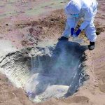 Chincha: 10 mil gallinas de granja se contagiaron de gripe aviar y tuvieron que ser sacrificadas