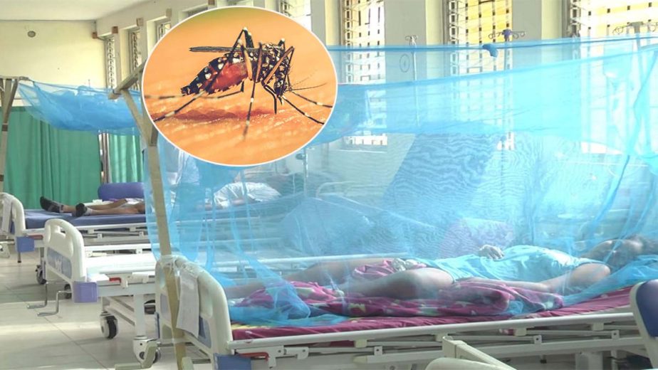 Ica: Aumentan a más de mil los casos de dengue en la región