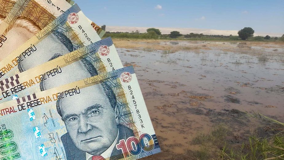 Ica: Midagri entregará solo 800 soles por hectárea afectada