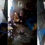 Ica: Se reportan varias viviendas inundadas tras fuertes lluvias en San José de Los Molinos