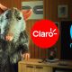 Telefónica Movistar y Claro demandan a Win por comercial donde se ven aludidos por una rata