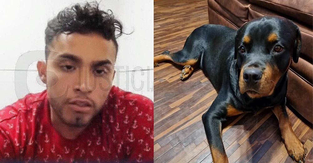 Dictan prisión preventiva contra sujeto que mató a balazos a un perro rottweiler