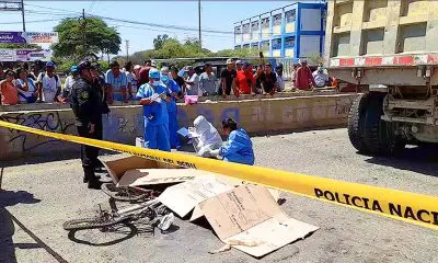 Ica: Conductor de volquete municipal que arrolló y mató a "Paparazzi" solo tenía licencia A1