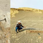 Ica: Descubren bosques fósiles de aproximadamente 40 millones de años en Ocucaje