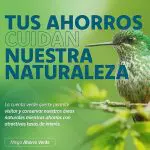 Más de 1,000 cuentas de ahorro se abrieron con la Campaña “Mega Ahorro Verde” de Caja Ica