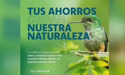 Más de 1,000 cuentas de ahorro se abrieron con la Campaña “Mega Ahorro Verde” de Caja Ica