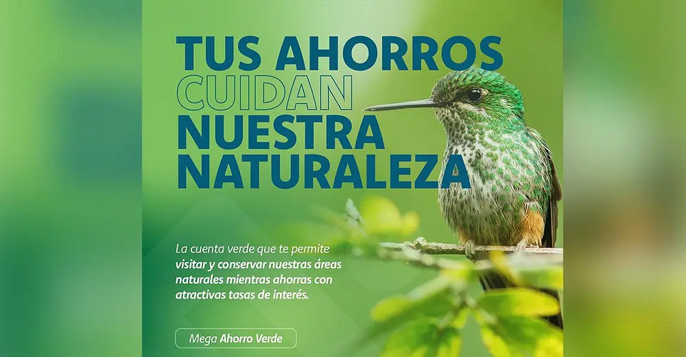 Más de 1,000 cuentas de ahorro se abrieron con la Campaña “Mega Ahorro Verde” de Caja Ica