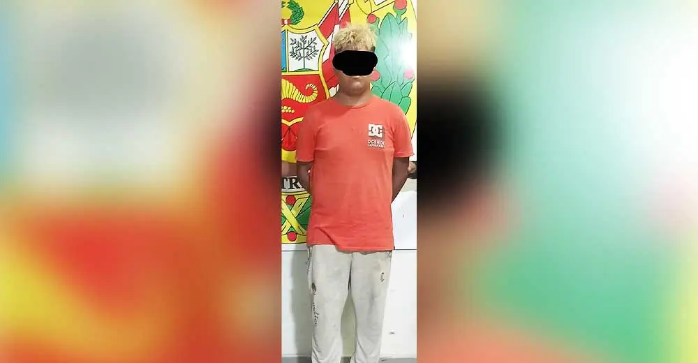 Ica: Menor de 16 años es acusado de violar sexualmente de una niña de 4 años