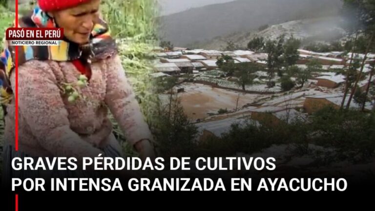 Pasó en el Perú | Dengue sigue cobrando vidas en Piura y fuerte granizada en Ayacucho devasta cien hectáreas de cultivo - Perú