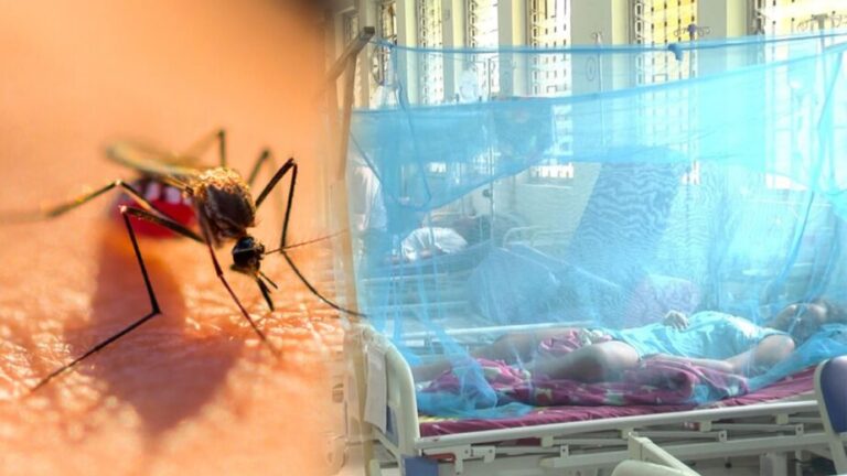 Epidemia por dengue en Perú: La realidad en las regiones contradice a la ministra de Salud - Perú