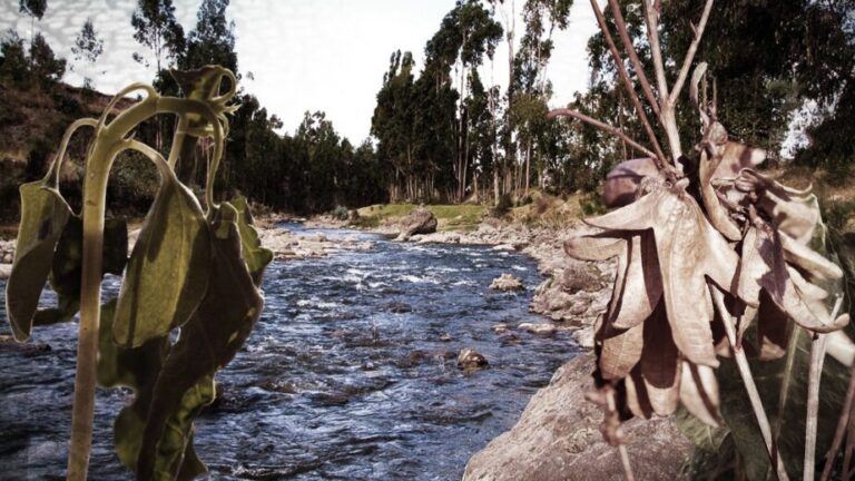 Cambio climático: Así afectará la escasez de agua a la producción de alimentos en las regiones - Perú