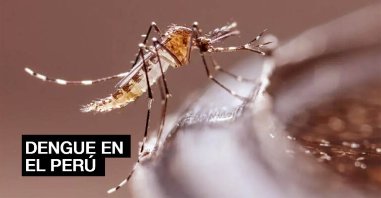 ALERTA: Reinfección por dengue siempre es más grave que la anterior - Perú
