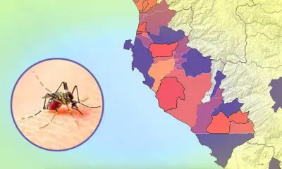 Dengue se propaga en la región Ica: Estos son los distritos con más contagios
