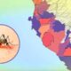 Dengue se propaga en la región Ica: Estos son los distritos con más contagios