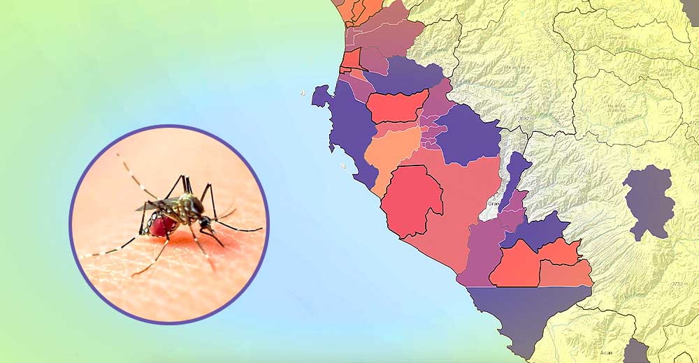 Dengue se propaga en la región Ica: Estos son los distritos con más contagios