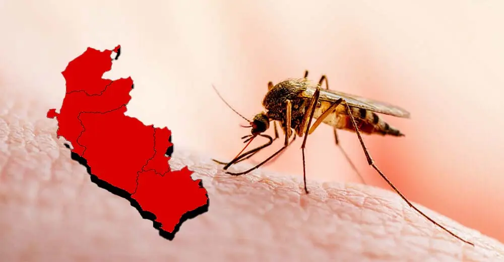 Casos de dengue ya superan los 11 mil en Ica y se elevan la muerte de pacientes