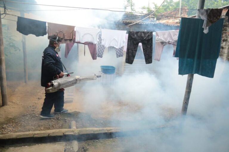 Dengue en Piura: Inician jornada de fumigación masiva en Chulucanas - Perú