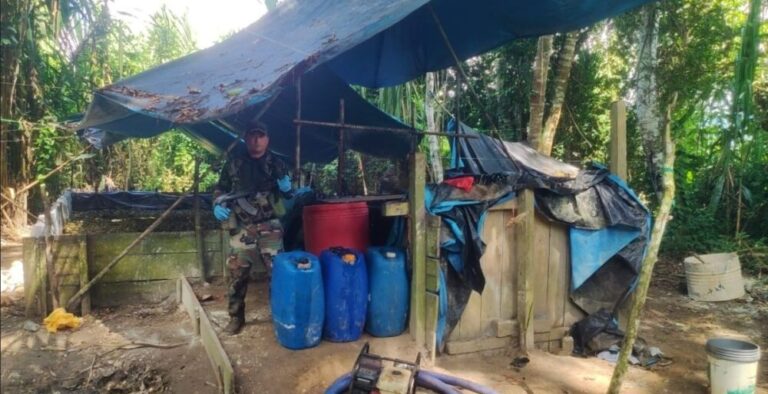 San Martín: Destruyen 5 laboratorios de droga valorizados en 41 mil dólares - Perú