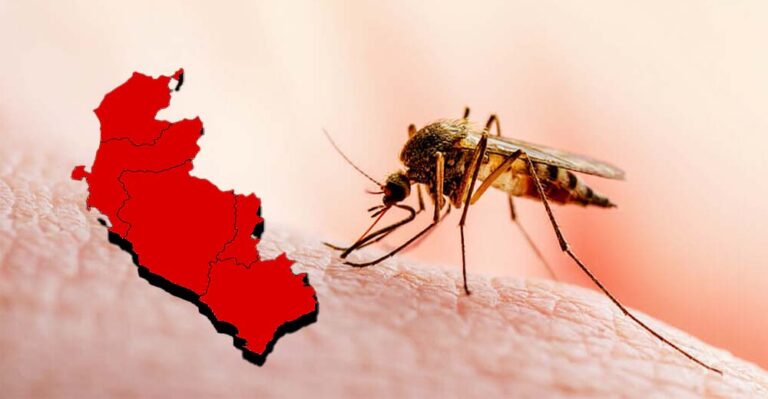 Casos de dengue en Ica ya superan los 11 mil y se eleva la muerte de pacientes - Ica