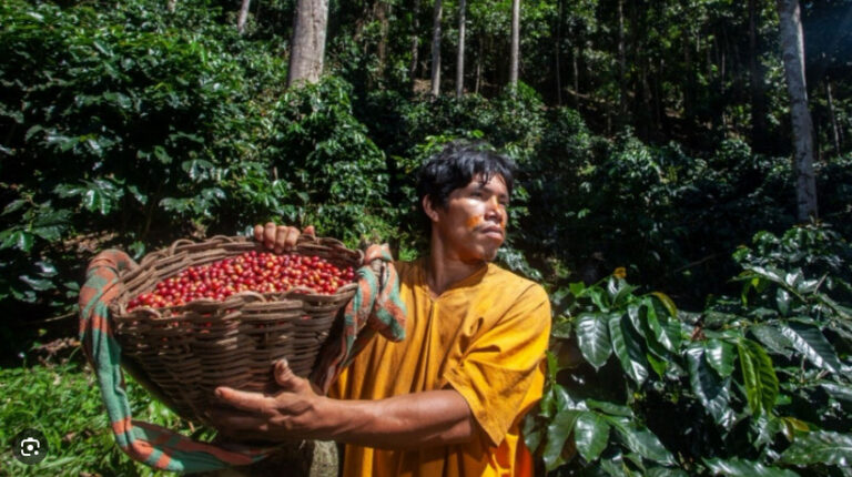 Impulsan financiamiento de negocios sostenibles de comunidades nativas amazónicas - Perú