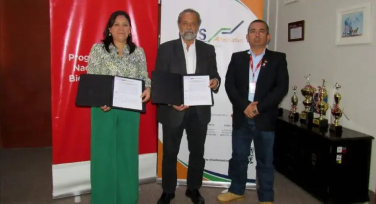 Trata de personas: ¿Cómo se puede reintegrar a niñas, niños y adolescentes víctimas? - Perú
