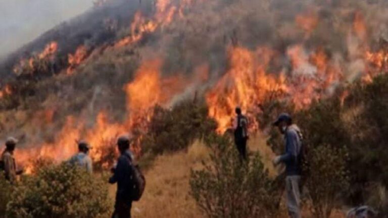 Puno: Incendio forestal en una comunidad de Carabaya arrasa pastizales por cuarto día consecutivo - Perú