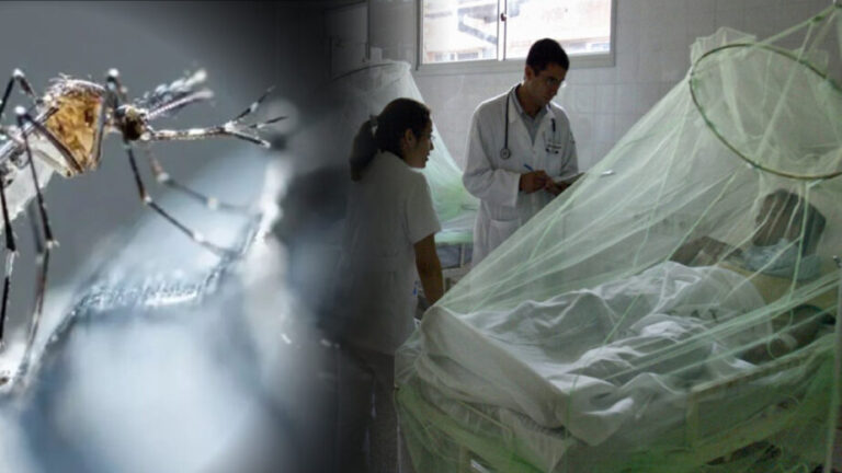 Piura requiere S/ 114 millones para acciones de prevención contra el dengue - Perú
