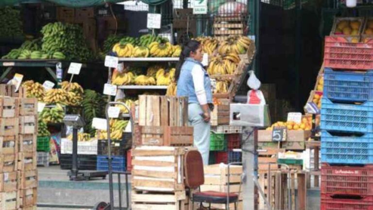 La región Puno ya vive una escasez de verduras e incremento de precios - Perú