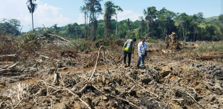 Huánuco: Depredan 10 hectáreas de cobertura vegetal en el distrito de José Crespo y Castillo - Perú