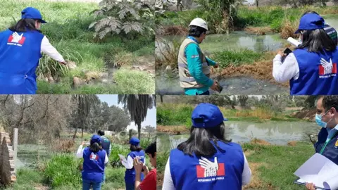 Ica: Fundo Las Palmeras, Alto Prado y La Angostura contaminan San Joaquín con pozo de oxidación