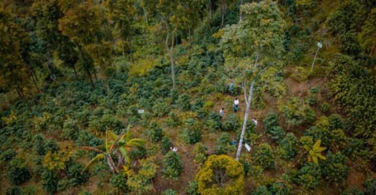 San Martín: Demandan al Estado frenar actividad minera por riesgos de contaminación - Perú