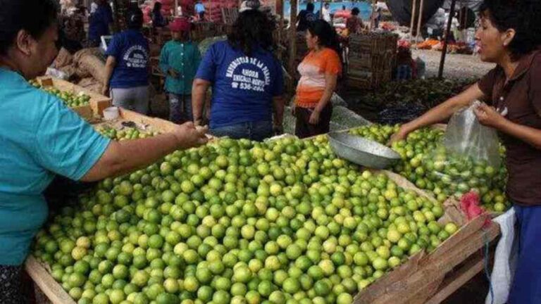 Precio del limón por las nubes: ¿A cuánto está este insumo en las regiones del Perú? - Perú