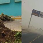 Ica: Fuertes vientos paracas afectan paseos a las Islas Ballestas y las clases escolares en Pisco