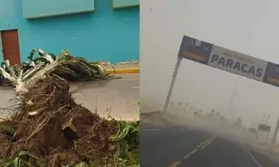 Ica: Fuertes vientos paracas afectan paseos a las Islas Ballestas y las clases escolares en Pisco