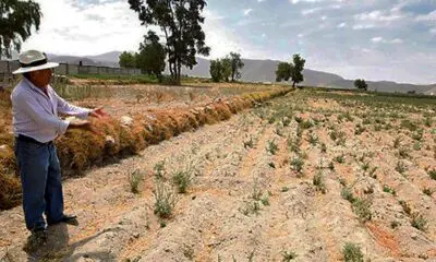 Solo un distrito de la región Ica en Emergencia por peligro de déficit hídrico y Fenómeno de El Niño