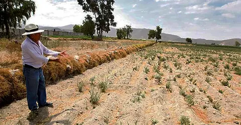 Solo un distrito de la región Ica en Emergencia por peligro de déficit hídrico y Fenómeno de El Niño
