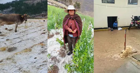 Chincha: Fuertes lluvias con granizo en Chavín afecta 41 viviendas, campos de cultivo y animales