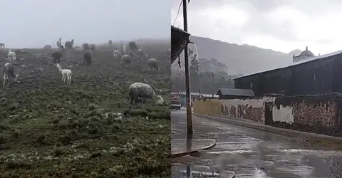 Informan que empezaron las lluvias en zonas altas y crecimiento de ríos podría afectar la región Ica