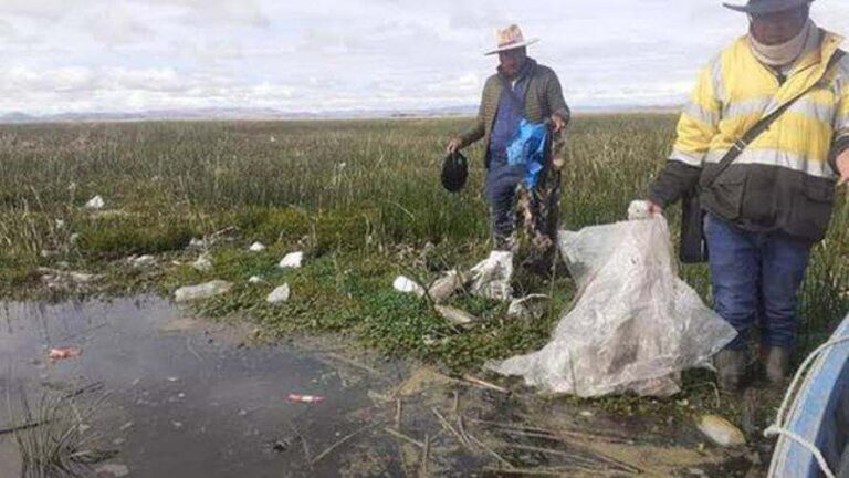 Defensores ambientales anuncian protesta contra el Congreso por ley de metales pesados - Perú