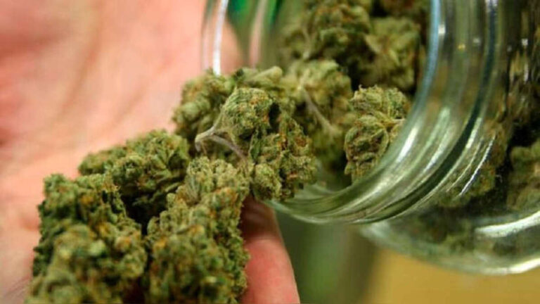 Arequipa: Desaparecen 10 kilos de marihuana en la sede la Policía Antidrogas - Perú