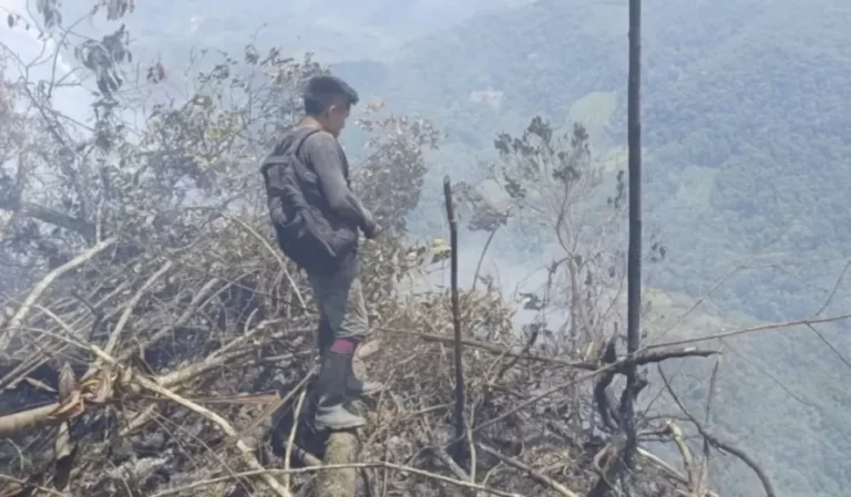 Nuevo incendio forestal en San Martín: Reportan nuevo incidente «provocado» en El Dorado - Perú