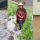 Chincha: Fuertes lluvias con granizo en Chavín afecta 41 viviendas, campos de cultivo y animales