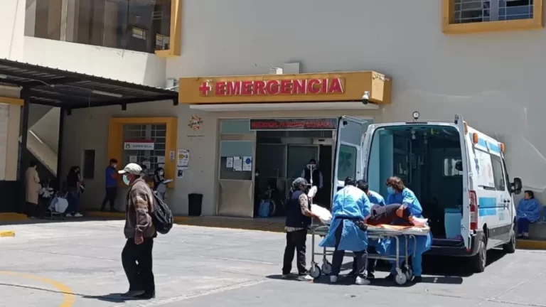 Arequipa: Murió la mujer que fue diagnosticada con rabia en tras ser mordida por un perro callejero - Perú