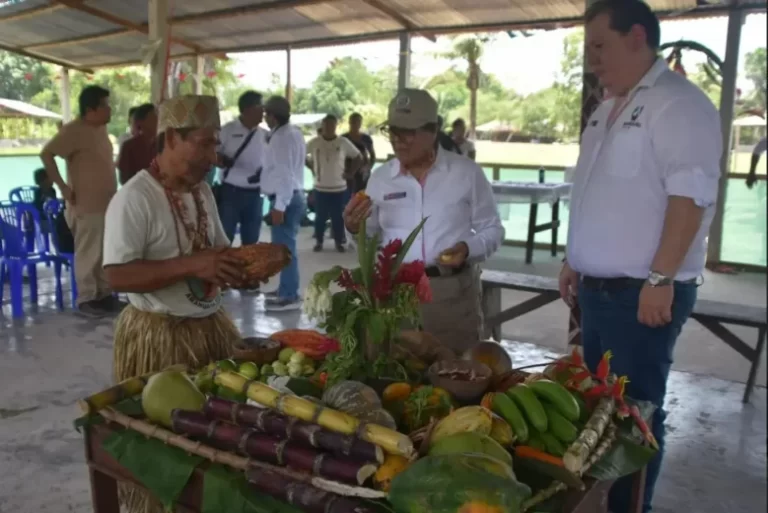 Madre de Dios: Reconocen a comunidades nativas que conservan sus bosques - Perú