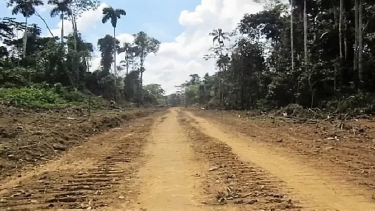 Carreteras declaradas de necesidad pública perjudicarían a pueblo Shawi en Loreto y San Martín - Perú