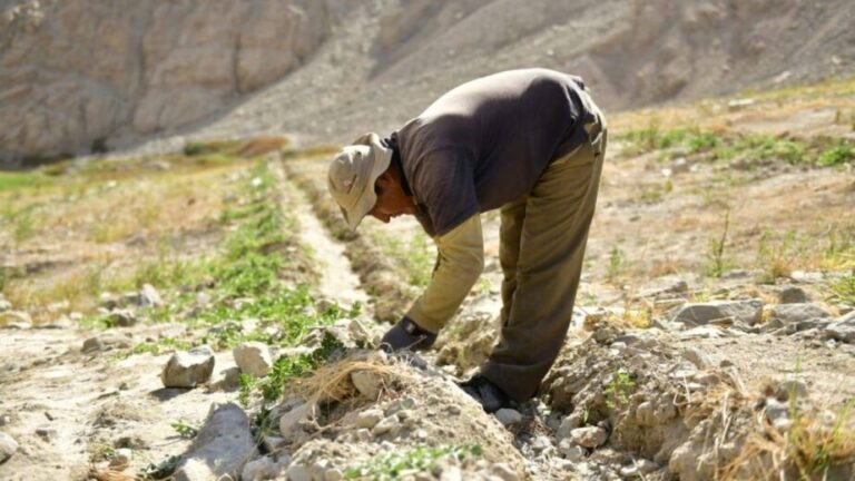 Fenómeno El Niño: Arequipa sin obras de prevención para afrontar la escasez hídrica - Perú