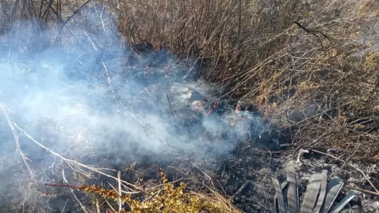 Ayacucho: Incendio forestal arrasa con más de 10 hectáreas de vegetación en Vinchos - Perú