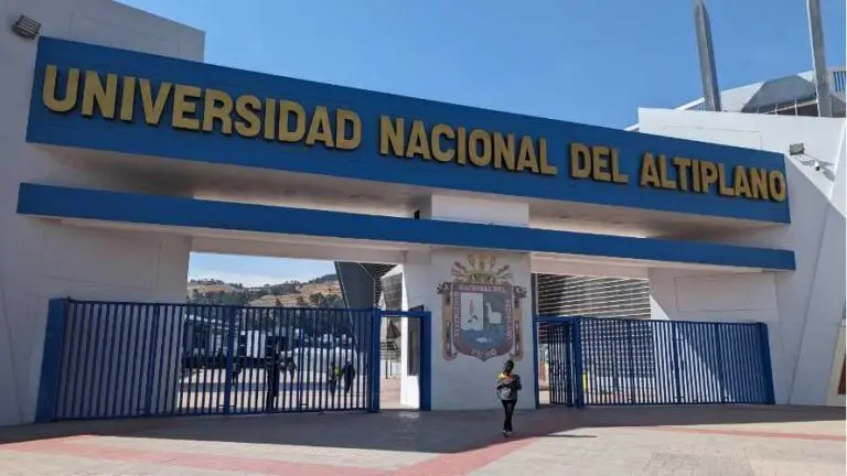 UNA Puno: Contraloría detecta irregularidades en el proceso de nombramiento docente - Perú